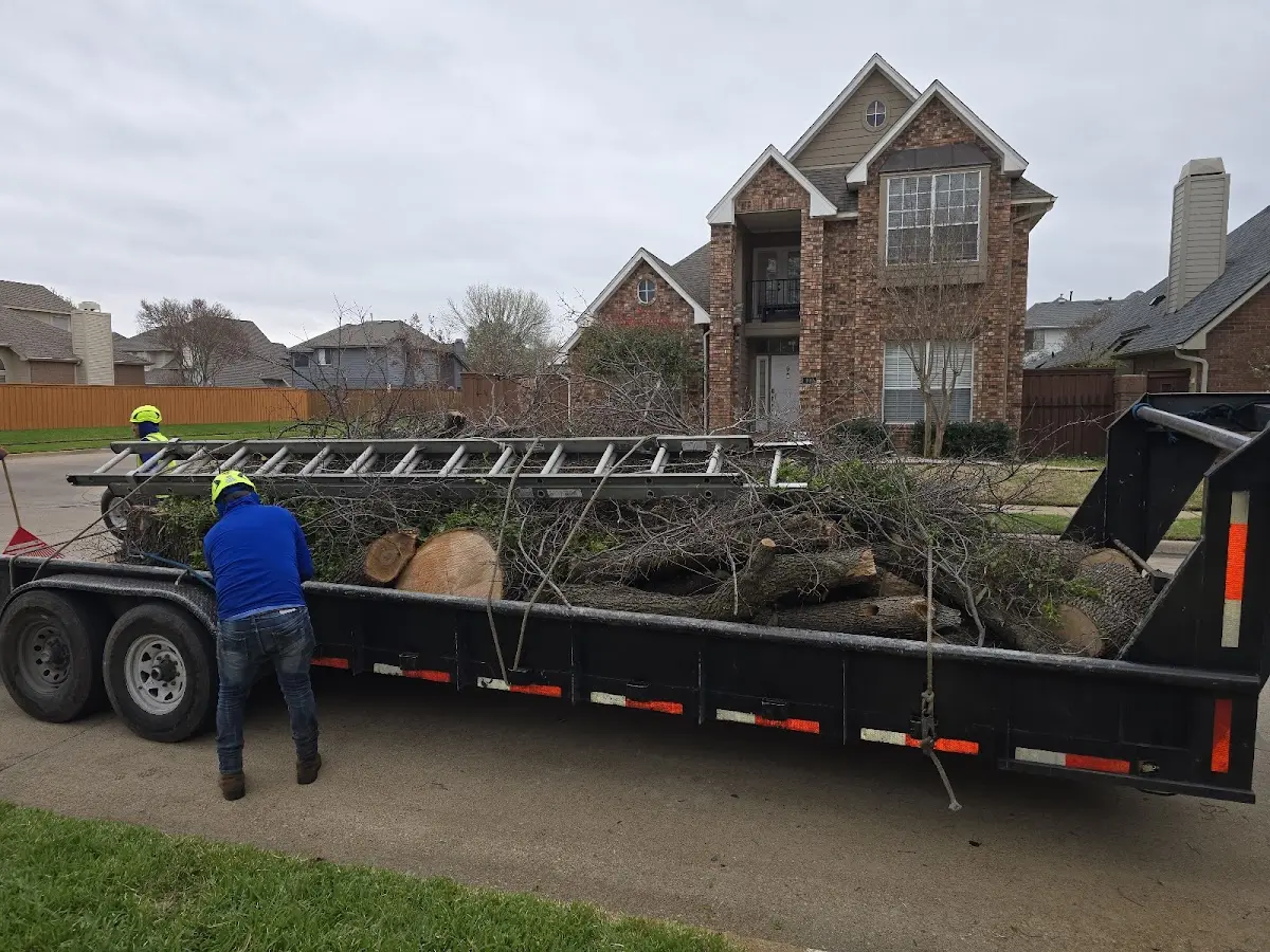 Expert Tree Fertilization with proper safety equipment in Hodge